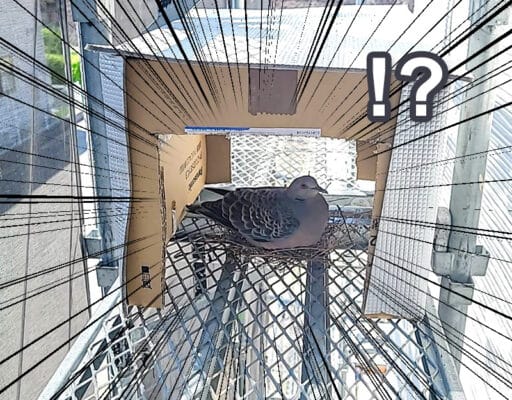 古三津モデルハウスの様子