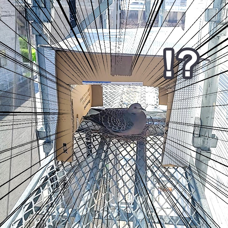 古三津モデルハウスの様子