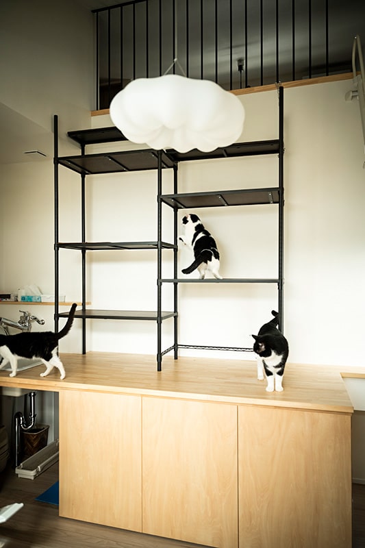 ミセスホーム施工事例