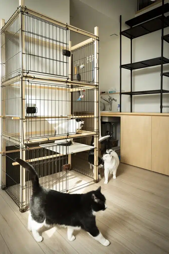 松山市K様邸・造作カウンターをキャットウォークとして使う猫専用部屋